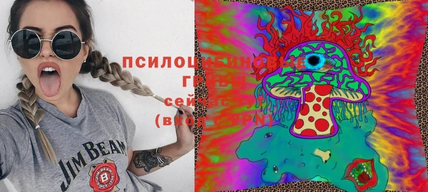 эйфоретик Абаза