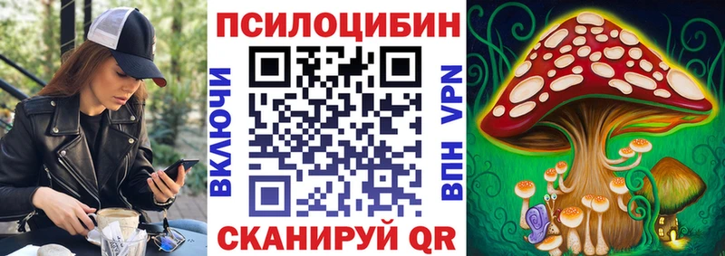 Галлюциногенные грибы Cubensis продажа наркотиков Сысерть