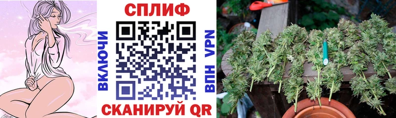 купить закладку  Сысерть  Канабис LSD WEED 